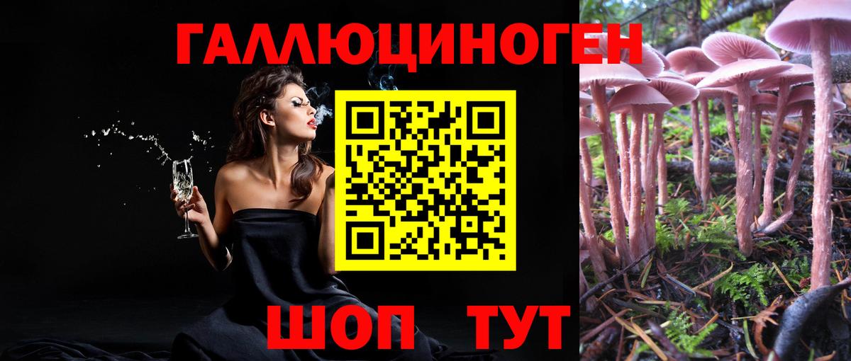 Элиста  Галлюциногенные грибы ЛСД  Галлюциногенные грибы прущие грибы  Вход с VPN 