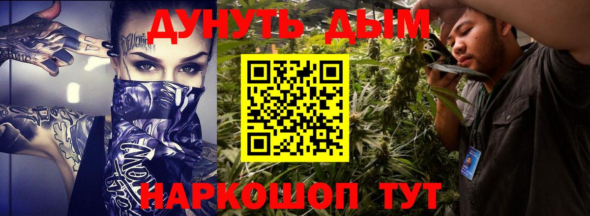 Канабис OG Kush Элиста